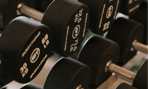 Sala de Musculación