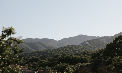 Naturaleza