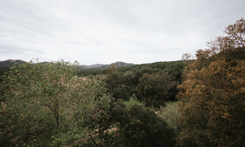 Vistas a la naturaleza