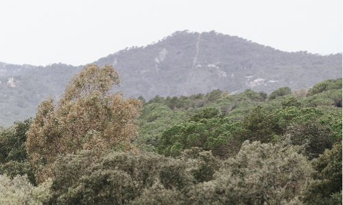 Naturaleza